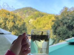-阿巧茶庄