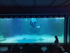 -石家庄海洋公园