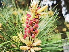 -汉景帝阳陵博物院