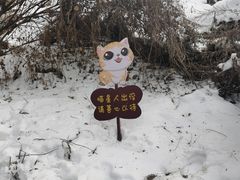 -终南山国家森林公园