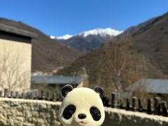 -九寨鲁能希尔顿度假酒店·開