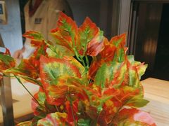 -星伦多自助料理(爱琴海店)
