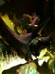 -恐龙探索乐园(磁器口店)