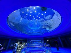 -上海海昌海洋公园