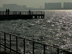-白鹭园