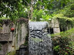 -青青世界