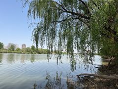 -开口笑·精选水饺