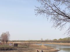 -天津武清北运河郊野公园房车露营地