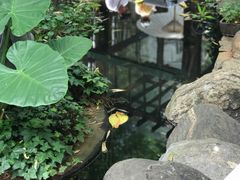 -新竹里馆·花园餐厅(兴苑路店)