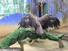 -杭州野生动物世界