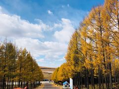 -塞罕坝国家级自然保护区