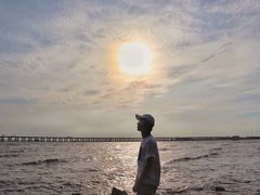 -宝安西湾红树林湿地公园