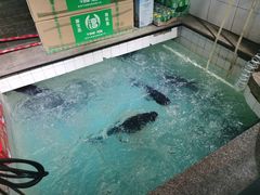 -旭龙鱼头王(航华店)