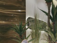 -兰湘子·湘菜小炒(崂山丽达店)