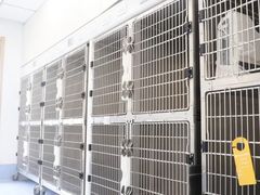 -宠颐生斯嘉宠物医院·急重症·心内科(谷阳北路分院)