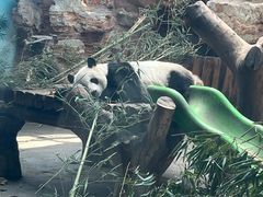 -石家庄市动物园