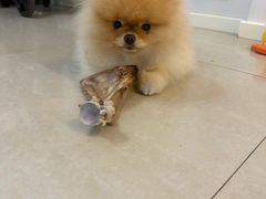 -内蒙古海拉尔烤羊腿·烤全羊·烧烤