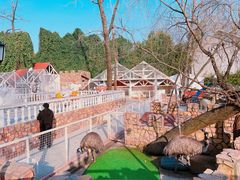 -J Create城市露营咖啡·简餐·宠物(上海动物园店)