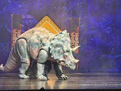 -交通银行前滩31演艺中心