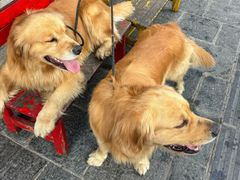 -八木轩·寻味大理白族民俗餐厅(文献路店)