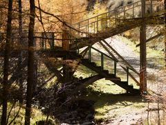 -苏木山森林公园