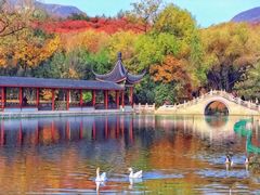 -北宫国家森林公园