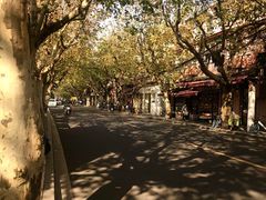 -蝶舍·MAISON PAPILLON