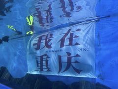 -重庆欢乐海底世界