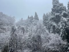 -南岳衡山风景名胜区