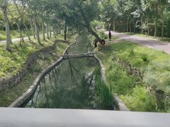 -北坞公园