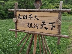 -沈阳植物园