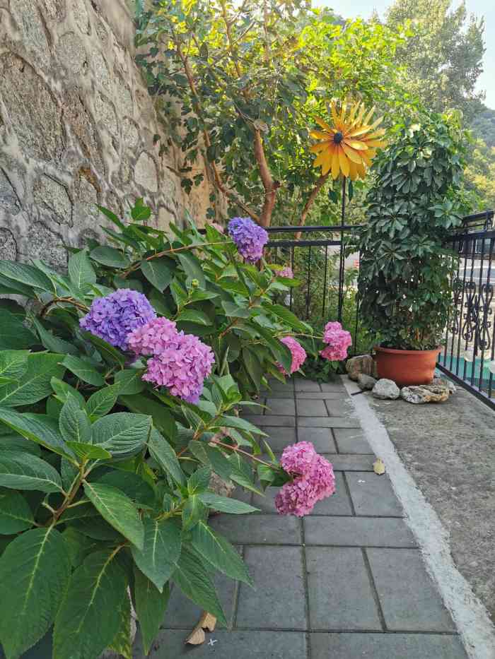 去怀柔自驾游路过渔家傲和几年前比差远了要了两条虹鳟鱼每条一斤八一