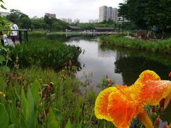 -映月湖公园