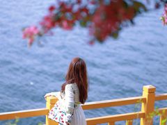 -长白岛森林公园