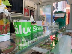 -Salud撒露欧洲冻酸奶(蓝色港湾店)