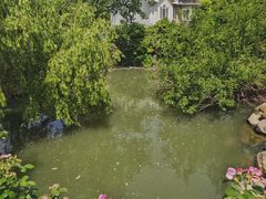 -J Create城市露营咖啡·简餐·宠物(上海动物园店)