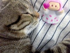 -名创优品(北京NTP新城广场店)