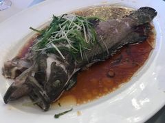 -上海金桥红枫万豪酒店-万豪中餐厅