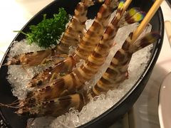 -鲜入围煮花胶鸡海鲜火锅