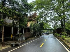 -天怡·鱼工厂(梅溪湖店)