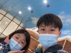 -世界之窗阿尔卑斯冰雪世界
