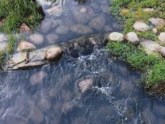 -滆湖低碳生态公园