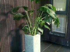 -阿伟海鲜楼·福建菜(涵江店)