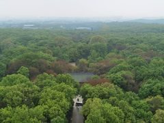 -灵谷景区