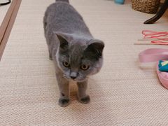 -第三空间·趣味桌游·轰趴.室内CS.剧本杀(大武汉1911店)