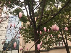 -苏州河梦清园环保主题公园