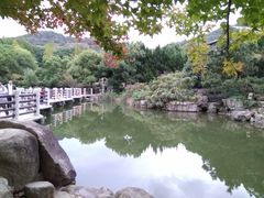 -白马涧龙池景区