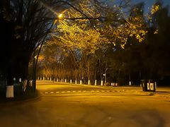 -西安外国语大学(长安校区)
