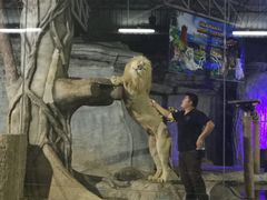 -清迈夜间动物园