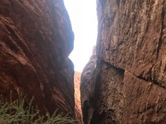 -天山神秘大峡谷